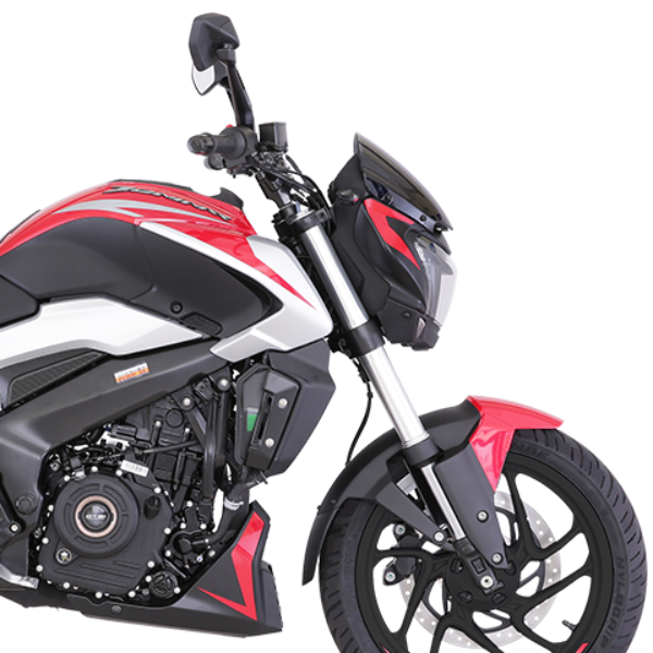 dominar250-3