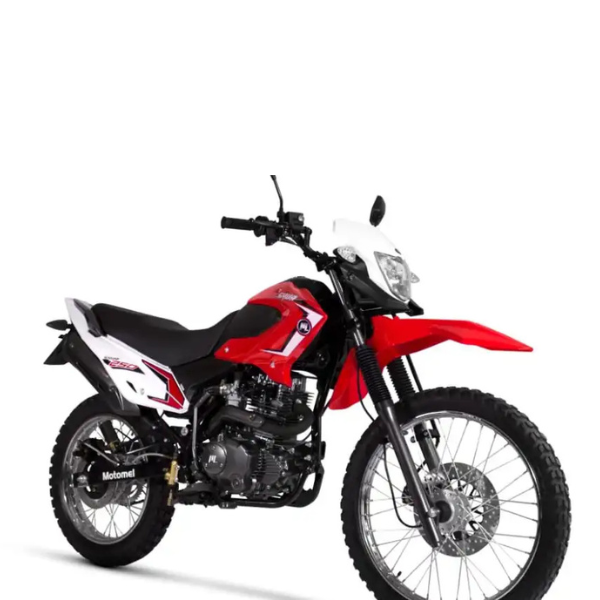skua250-2